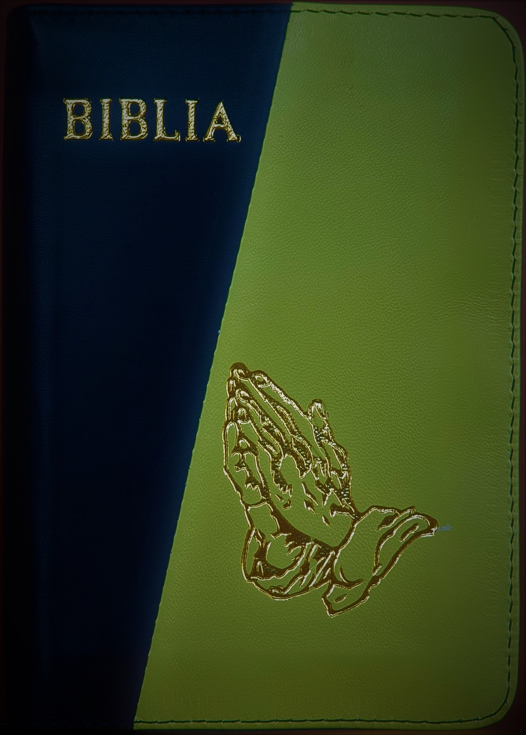 Biblie din piele, marime medie, culoare, negru cu verde oliv, fermoar, margini albe, simbol maini in rugaciune,  cuv. lui Isus cu rosu [053]