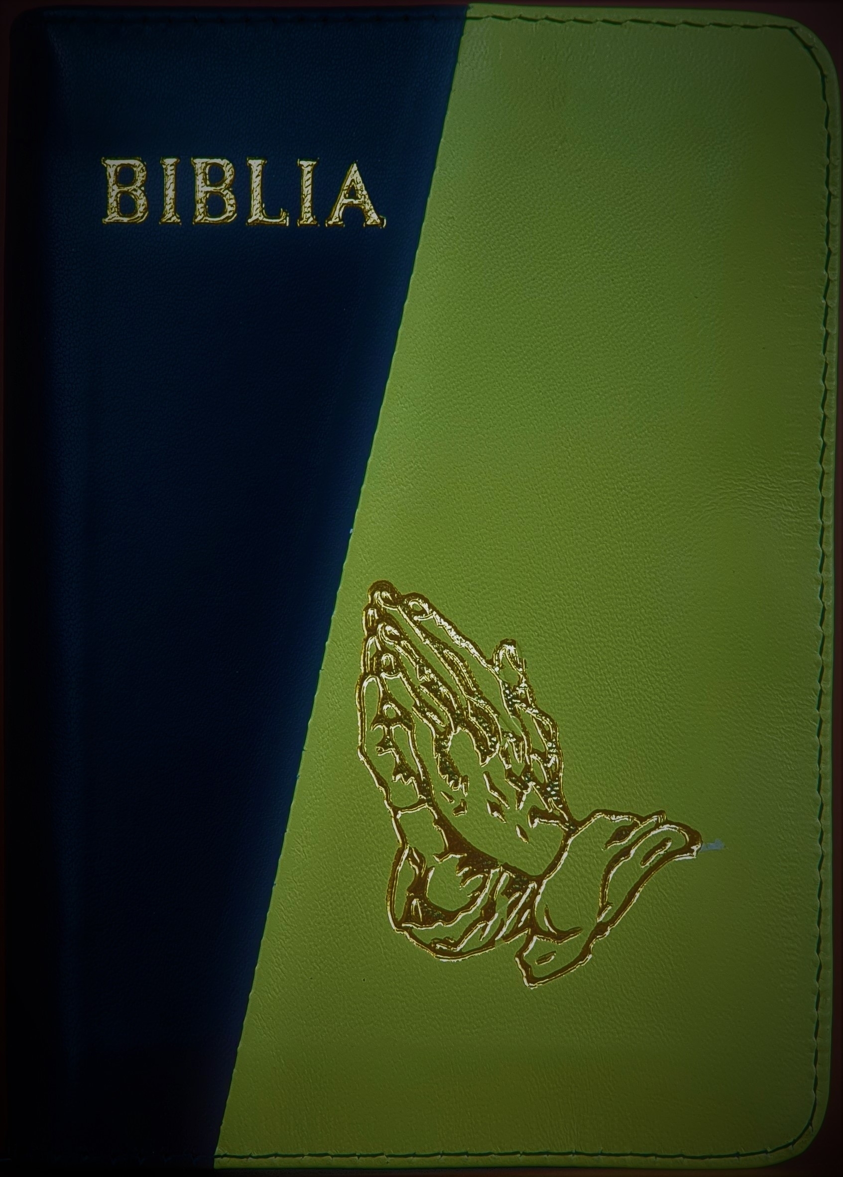 Biblie din piele, marime medie, negru cu verde oliv, simbol maini in rugaciune, fermoar, index, margini aurii, cuv. lui Isus cu rosu [SB 057 PFI]