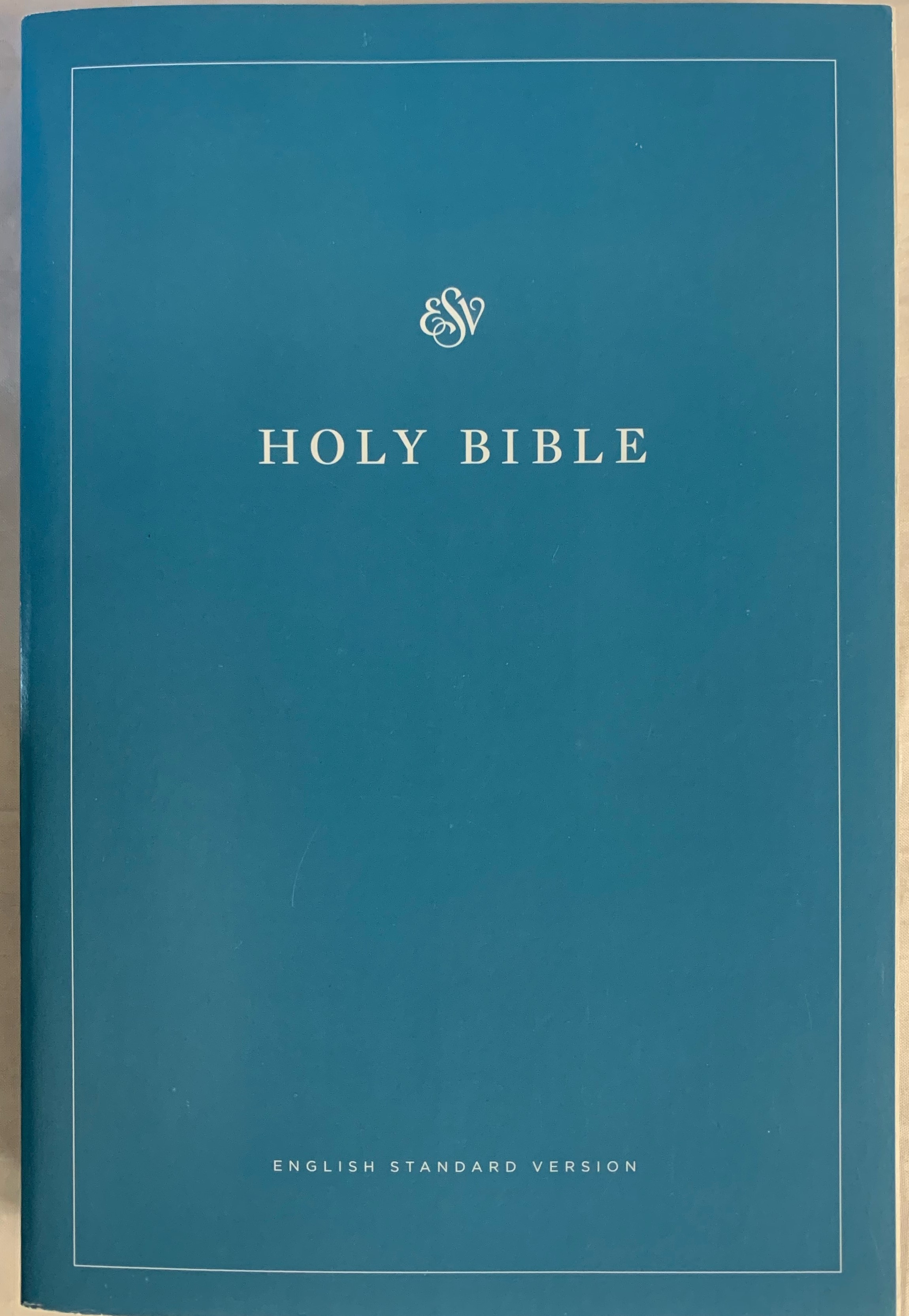 Holy Bible, Biblia in limba engleza, marime medie, coperta flexibila