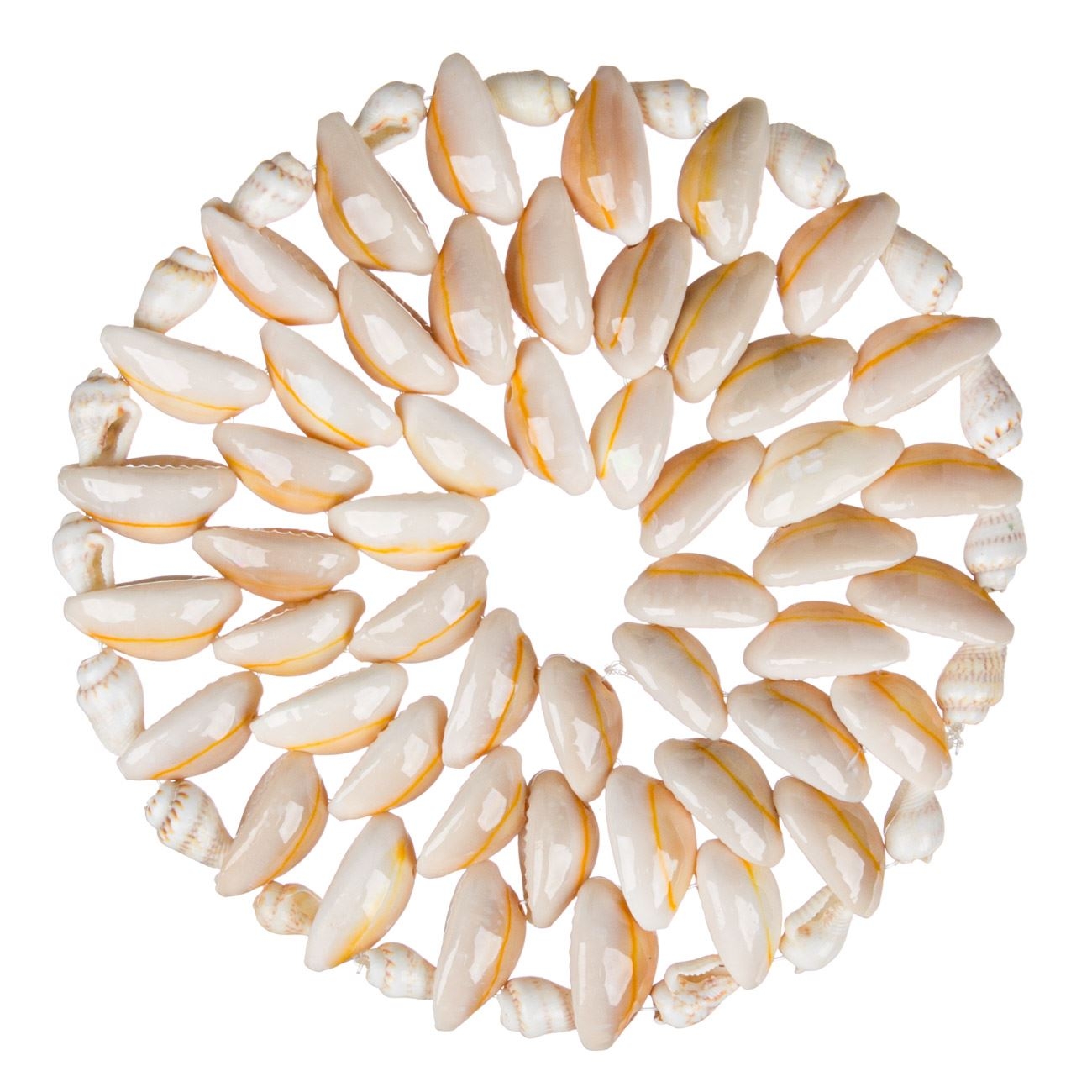 Suport pahar din scoici 10cm Suport pahar din scoici 10cm