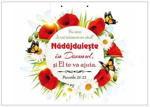 Poster cu verset A4 - Verset:  Nu zice: „Îi voi întoarce eu răul!” Nădăjduieşte în Domnul, şi El te va ajuta. Proverbe 20:22   [208]