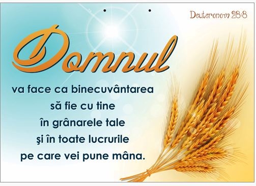 Poster cu verset A4 -Verset:  "Domnul va face ca binecuvântarea să fie cu tine în grânarele tale şi în toate lucrurile pe care vei pune mâna." Deuteronom 28:8    [100]