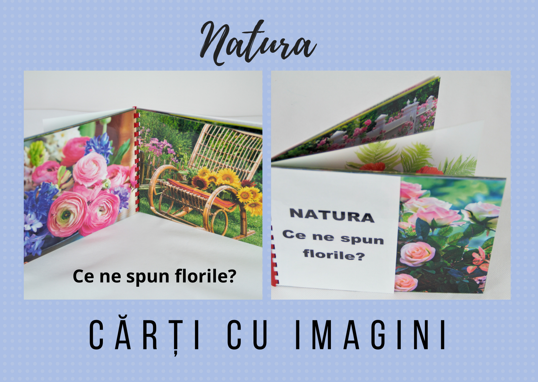 Natura - Ce ne spun florile ? - Carte cu imagini