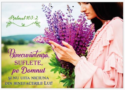 Poster cu verset A4 - Verset:  "Binecuvântează, suflete, pe Domnul şi nu uita niciuna din binefacerile Lui!" Psalmul 103:2    [235]