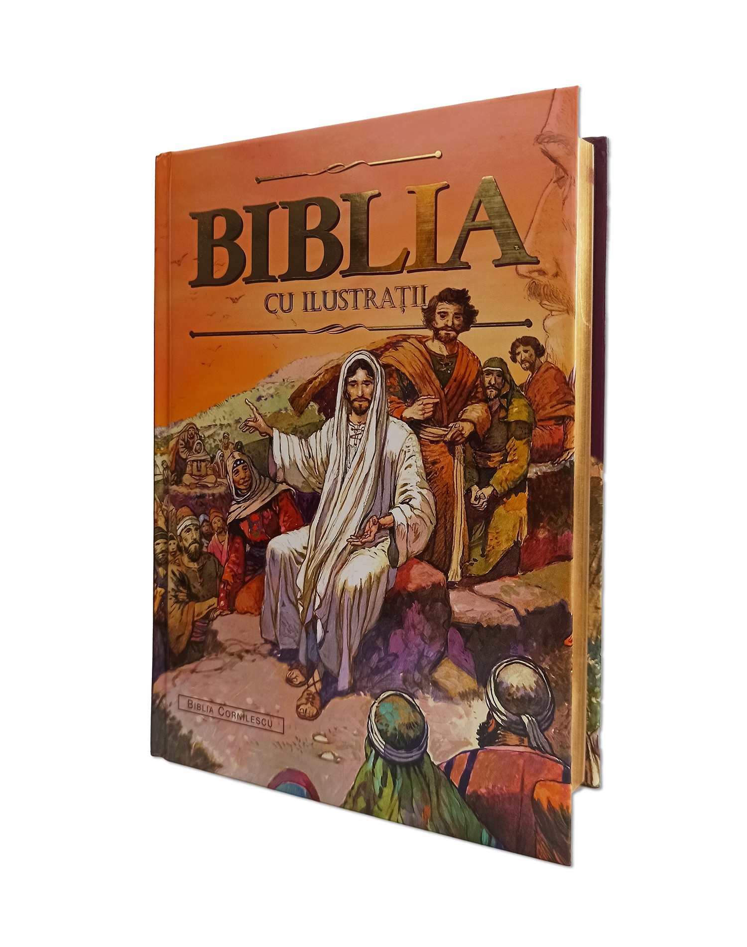 BIBLIA CU ILUSTRAȚII - Biblia pentru copii BIBLIA CU ILUSTRAȚII - Biblia pentru copii