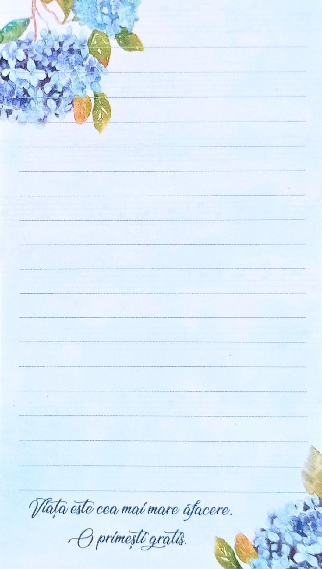 Carnetel cu magnet pentru frigider - Viata este cea mai mare afacere Carnetel cu magnet pentru frigider - Viata este cea mai mare afacere