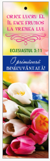 Semn de carte cu panglica roz - Verset si text : "Orice lucru El îl face frumos la vremea lui." O primăvară binecuvântată! Eclesiastul 3:11 [26]