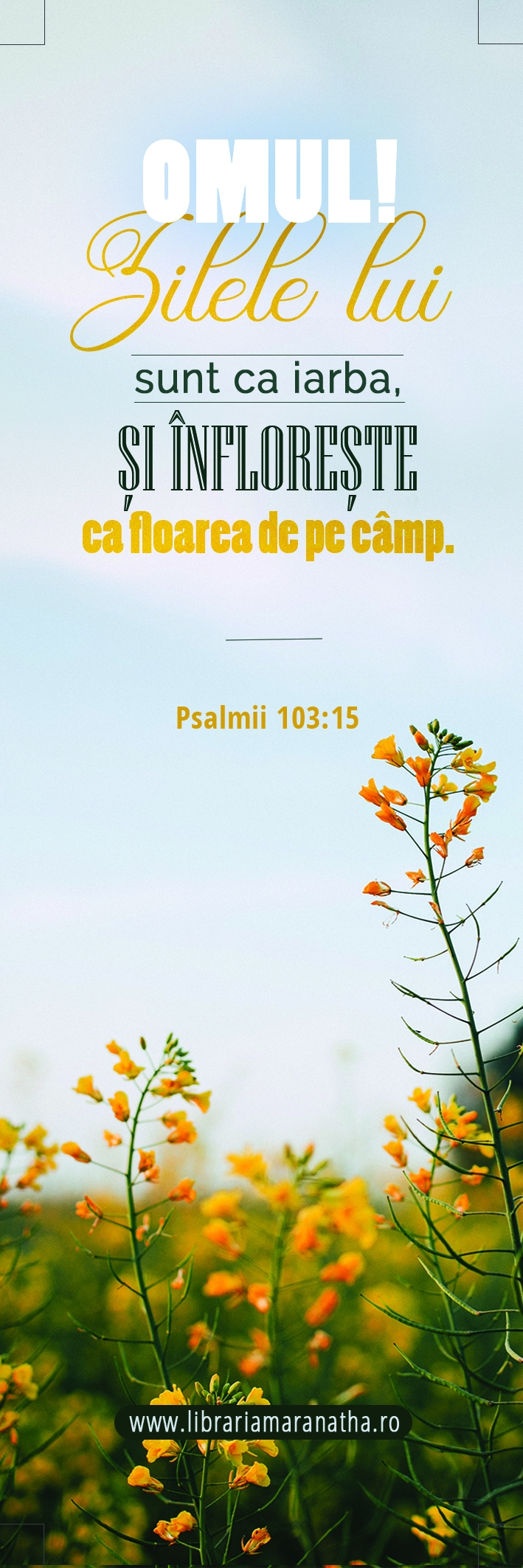 Semn de carte - Omul! Zilele lui sunt ca iarba (3) Semn de carte - Omul! Zilele lui sunt ca iarba (3)