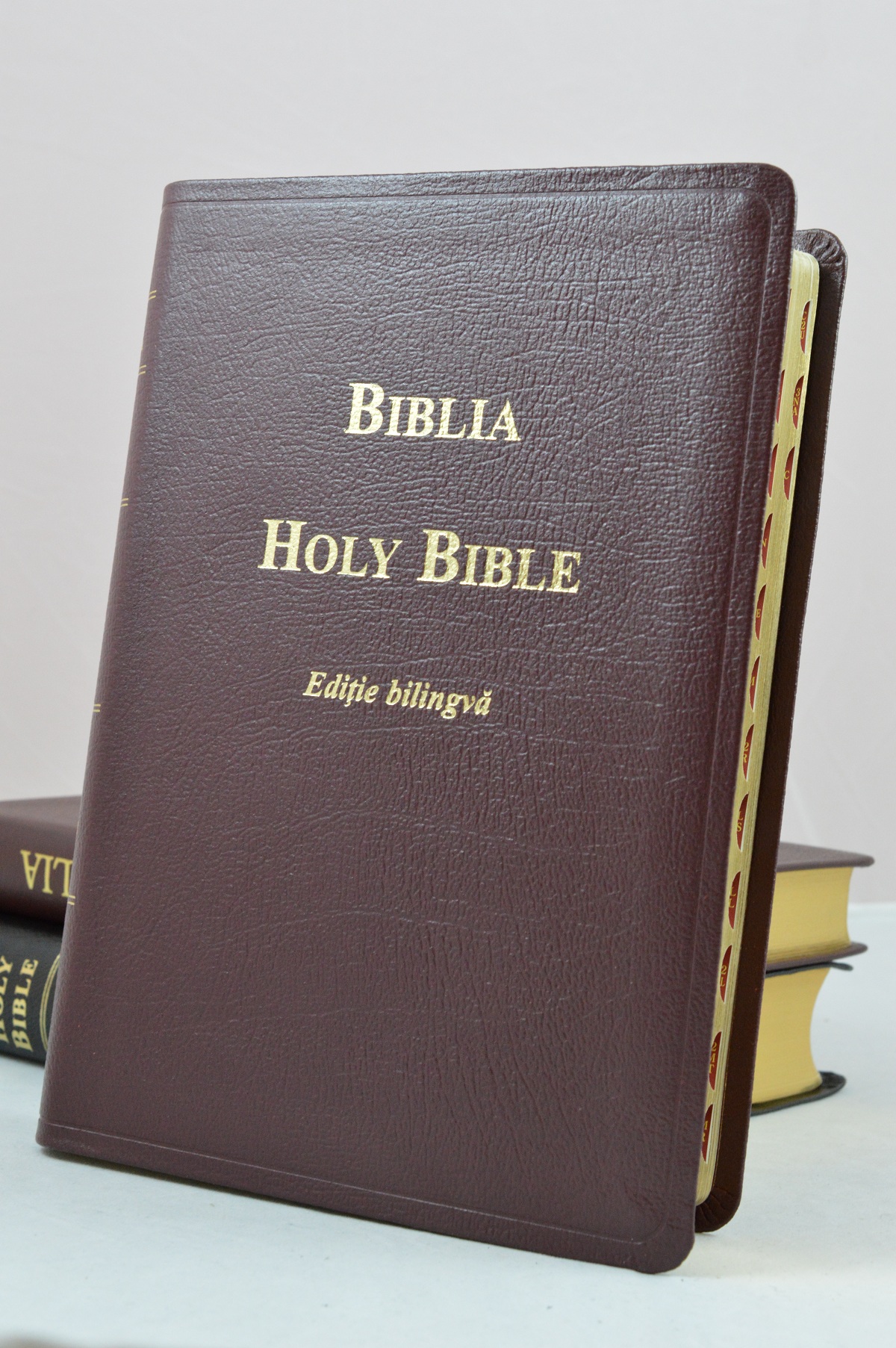 Biblia bilingva romana-engleza, visinie - Holy Bible [fara fermoar]