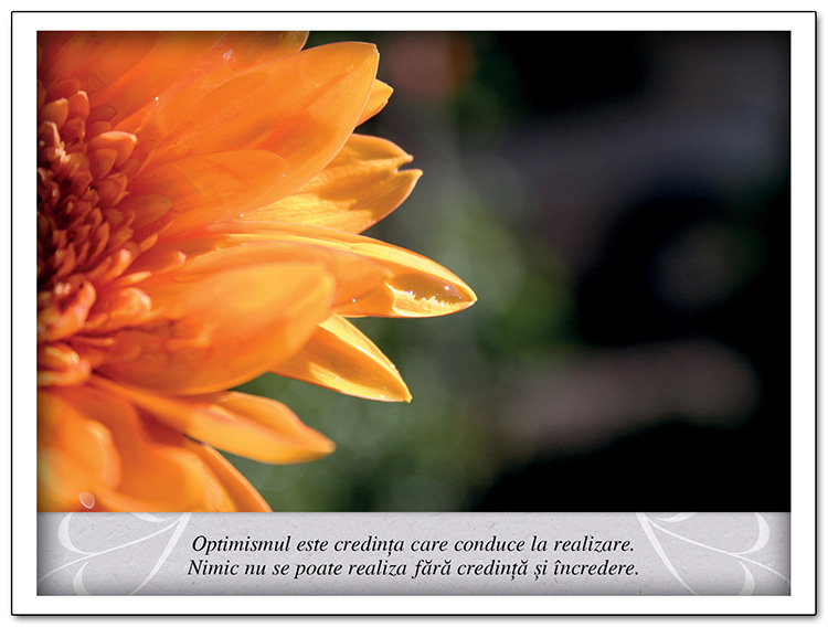 Tablou - Meditatii - Optimismul este credinta care conduce la realizare Tablou - Meditatii - Optimismul este credinta care conduce la realizare