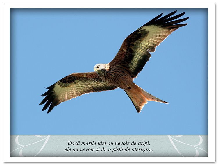 Tablou - Meditatii - Daca marile idei au nevoie de aripi Tablou - Meditatii - Daca marile idei au nevoie de aripi