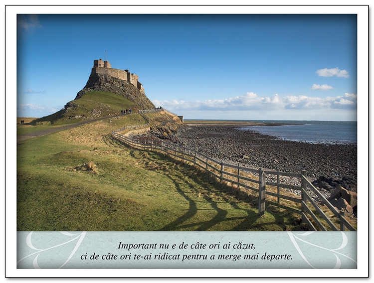 Tablou - Meditatii - Important nu e de cate ori ai cazut Tablou - Meditatii - Important nu e de cate ori ai cazut