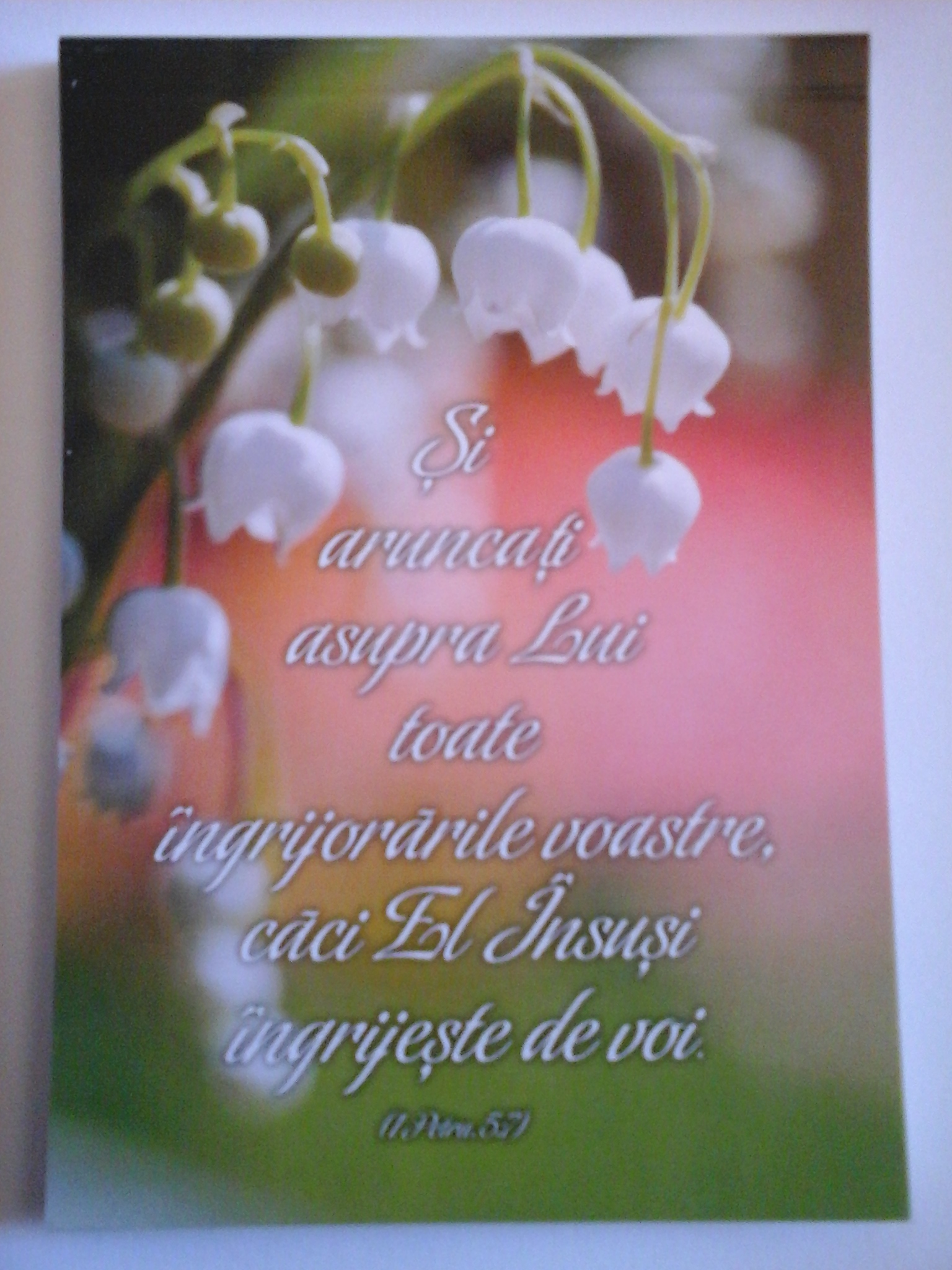 Carnetel cu verset biblic - Si aruncati aspura Lui toate ingrijorarile... Carnetel cu verset biblic - Si aruncati aspura Lui toate ingrijorarile...