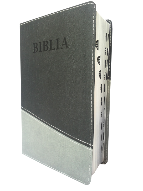 Biblia NTR (Biblia Noua Traducere), coperta imitatie piele, gri inchis - gri deschis, argintie pe margini, index