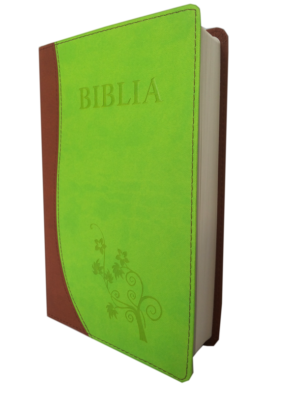 Biblia NTR (Biblia Noua Traducere), coperta imitatie piele, maro | verde Biblia NTR (Biblia Noua Traducere), coperta imitatie piele, maro | verde
