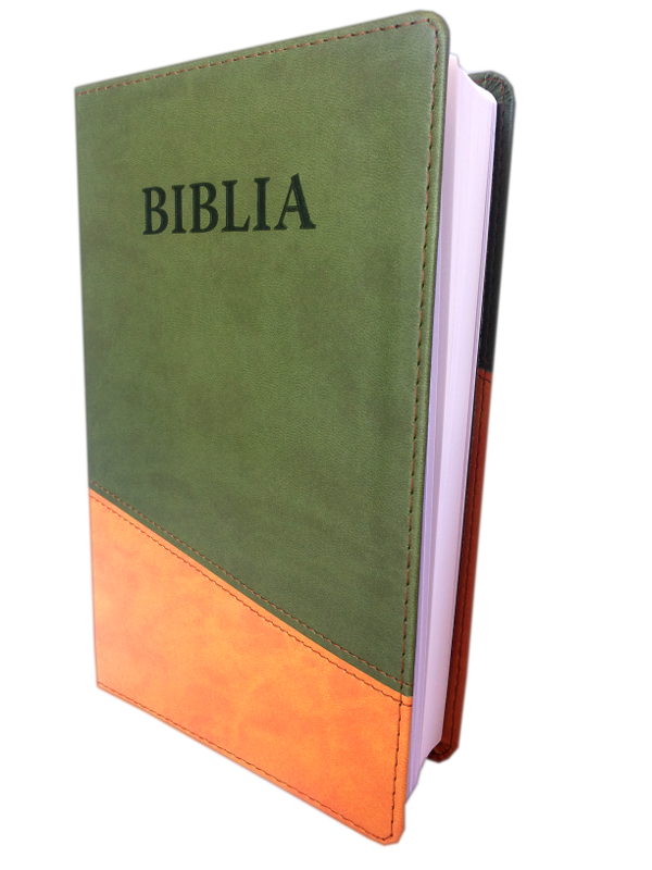 Biblia NTR (Biblia Noua Traducere), coperta imitatie piele, verde oliv - oranj Biblia NTR (Biblia Noua Traducere), coperta imitatie piele, verde oliv - oranj
