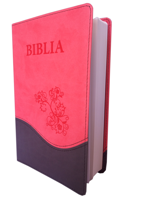 Biblia NTR (Biblia Noua Traducere), coperta imitatie piele, roz - gri Biblia NTR (Biblia Noua Traducere), coperta imitatie piele, roz - gri