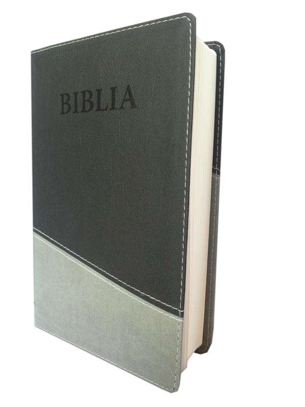 Biblia NTR (Biblia Noua traducere), coperta imitatie piele, gri inchis - gri deschis Biblia NTR (Biblia Noua traducere), coperta imitatie piele, gri inchis - gri deschis
