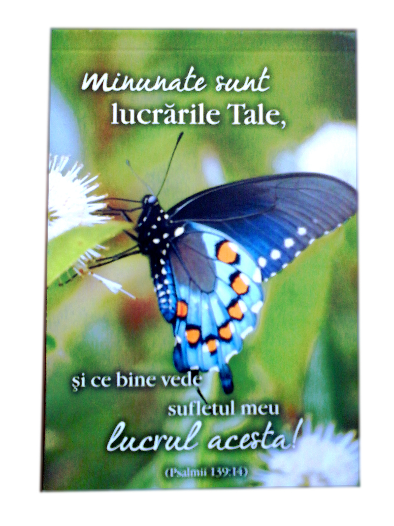 Carnetel cu verset biblic - Minunate sunt lucrarile tale