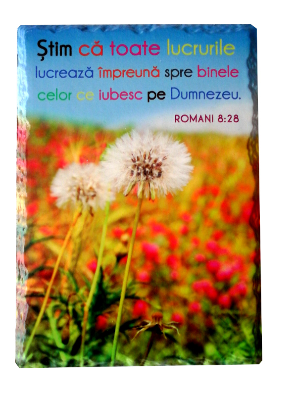 Aplica vintage dreptunghiulara - Stim ca toate lucrurile lucreaza impreuna Aplica vintage dreptunghiulara - Stim ca toate lucrurile lucreaza impreuna