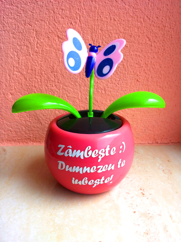 Floare solara - fluture - Zambeste :) Dumnezeu te iubeste! Floare solara - fluture - Zambeste :) Dumnezeu te iubeste!