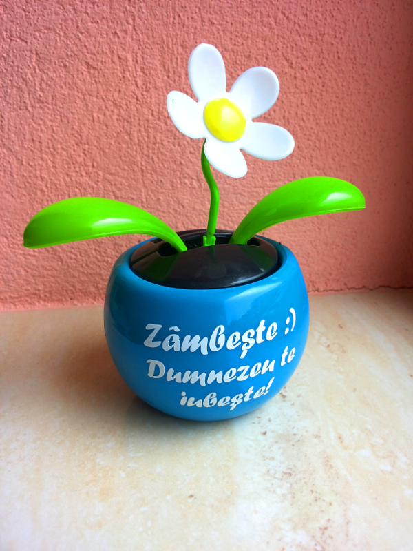 Floare solara - Zambeste :) Dumnezeu te iubeste! Floare solara - Zambeste :) Dumnezeu te iubeste!