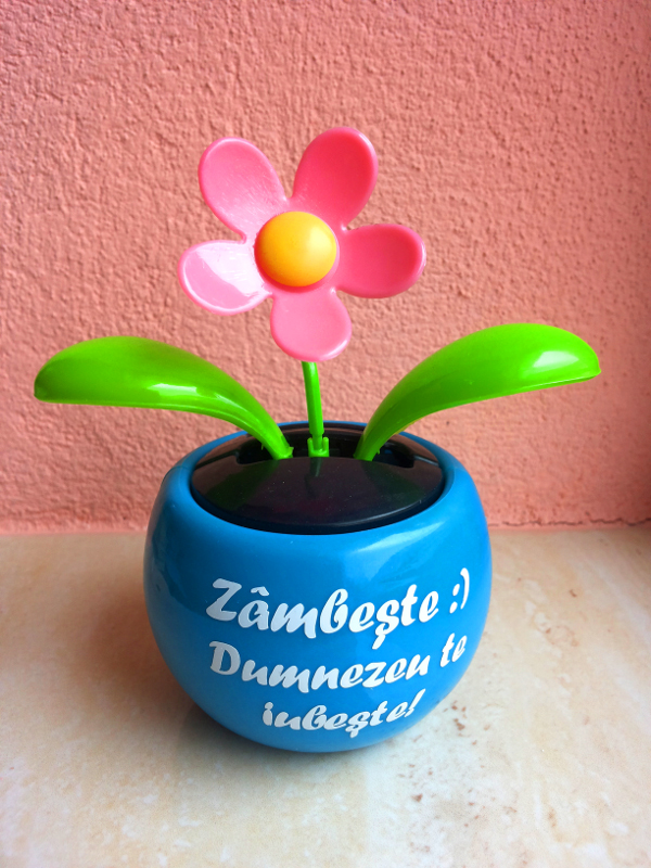 Floare solara - Zambeste :) Dumnezeu te iubeste! Floare solara - Zambeste :) Dumnezeu te iubeste!