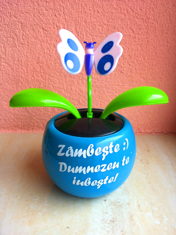 Floare solara - fluture - Zambeste :) Dumnezeu te iubeste! Floare solara - fluture - Zambeste :) Dumnezeu te iubeste!