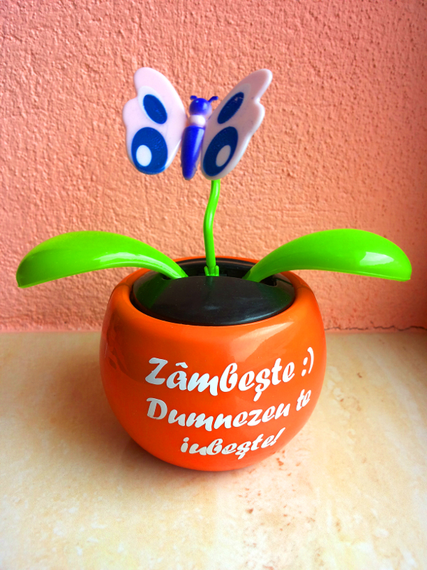 Floare solara - fluture - Zambeste :) Dumnezeu te iubeste!