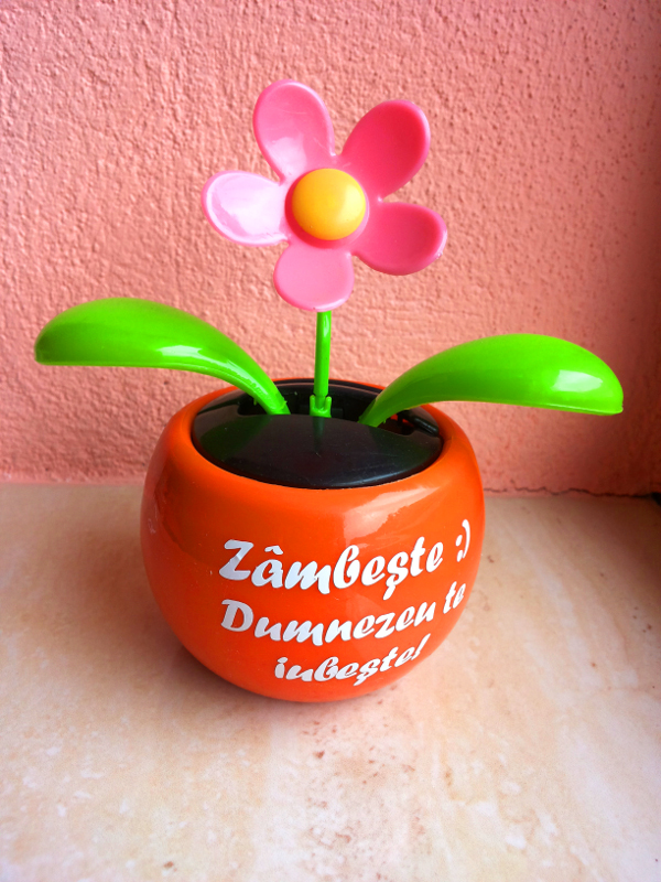 Floare solara - Zambeste :) Dumnezeu te iubeste! Floare solara - Zambeste :) Dumnezeu te iubeste!