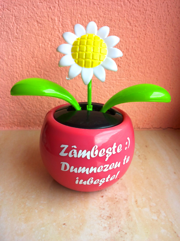 Floare solara - floarea sorelui - Zambeste :) Dumnezeu te iubeste! Floare solara - floarea sorelui - Zambeste :) Dumnezeu te iubeste!