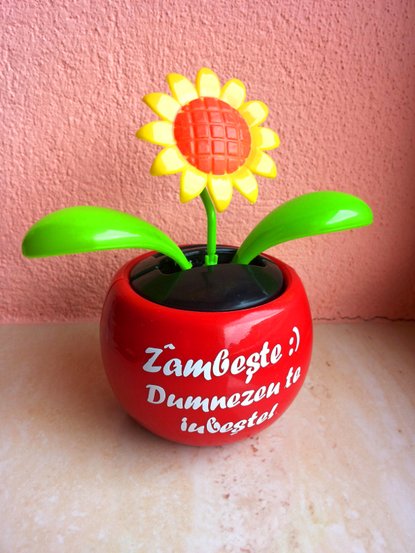 Floare solara - floarea soarelui - Zambeste :) Dumnezeu te iubeste! Floare solara - floarea soarelui - Zambeste :) Dumnezeu te iubeste!