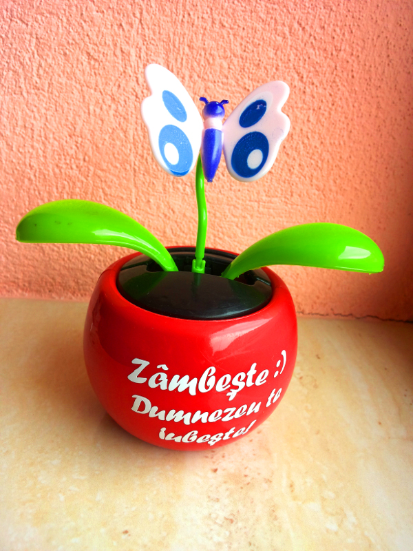 Floare solara - fluture - Zambeste :) Dumnezeu te iubeste! Floare solara - fluture - Zambeste :) Dumnezeu te iubeste!