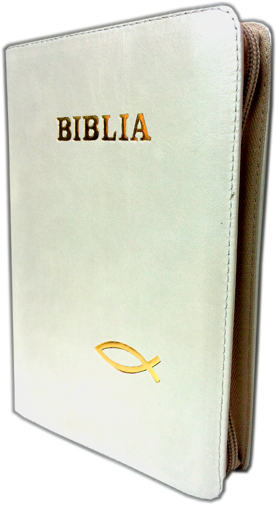 Biblia marime medie, piele, culoare gri, fermoar, cu peste, cuv. lui Isus cu rosu [053]