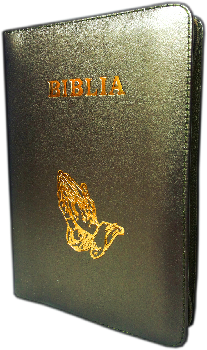 Biblia din piele, marime medie, bronz sidefat, fermoar, cu maini, cuv. lui Isus cu rosu [053]