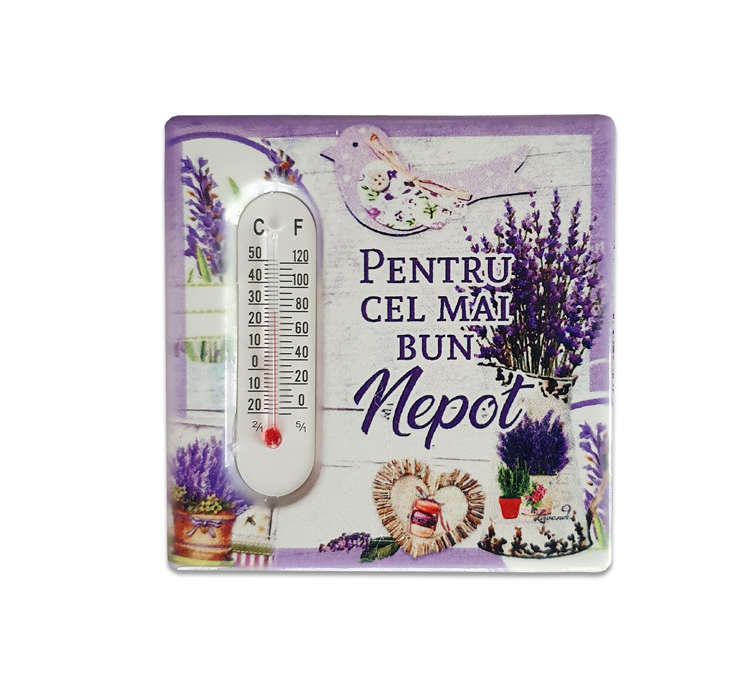 Magnet termometru - Pentru cel mai bun nepot Magnet termometru - Pentru cel mai bun nepot