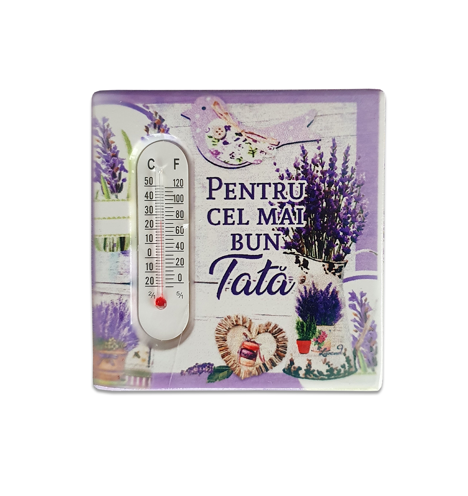 Magnet termometru - Pentru cel mai bun tata Magnet termometru - Pentru cel mai bun tata