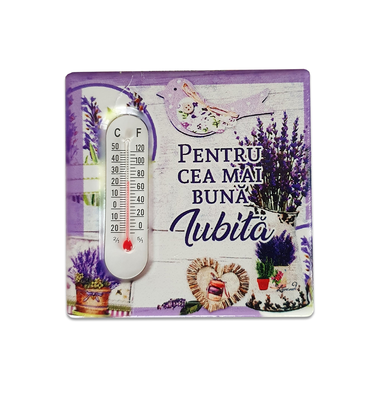 Magnet termometru - Pentru cea mai buna iubita