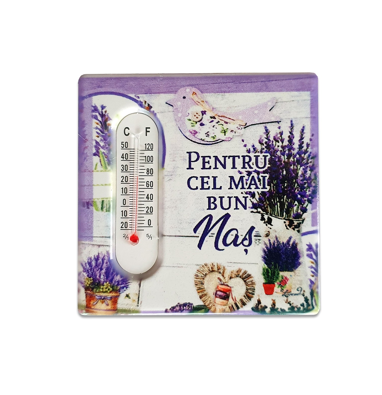 Magnet termometru - Pentru cel mai bun nas Magnet termometru - Pentru cel mai bun nas