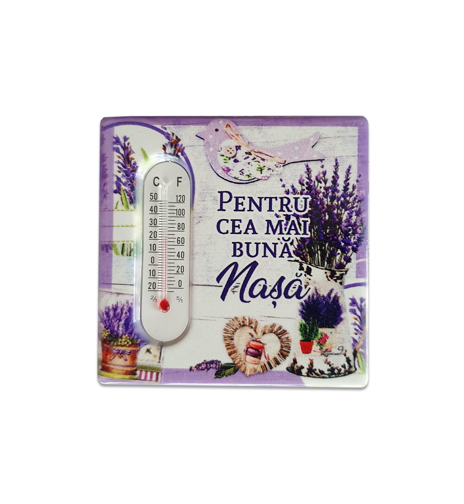 Magnet termometru - Pentru cea mai buna nasa Magnet termometru - Pentru cea mai buna nasa