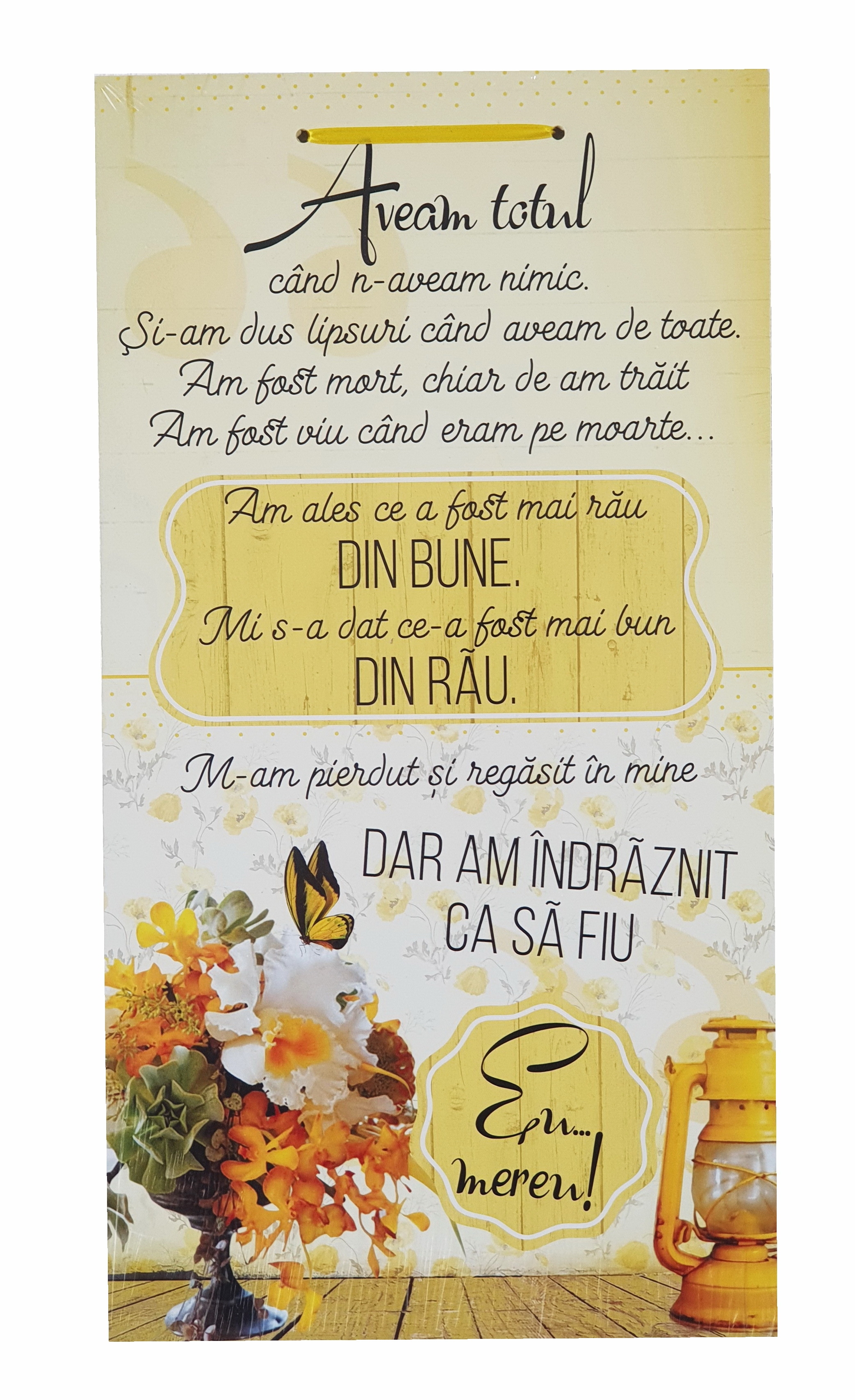 Tablou motivational (26x48 cm) - Aveam totul Tablou motivational (26x48 cm) - Aveam totul