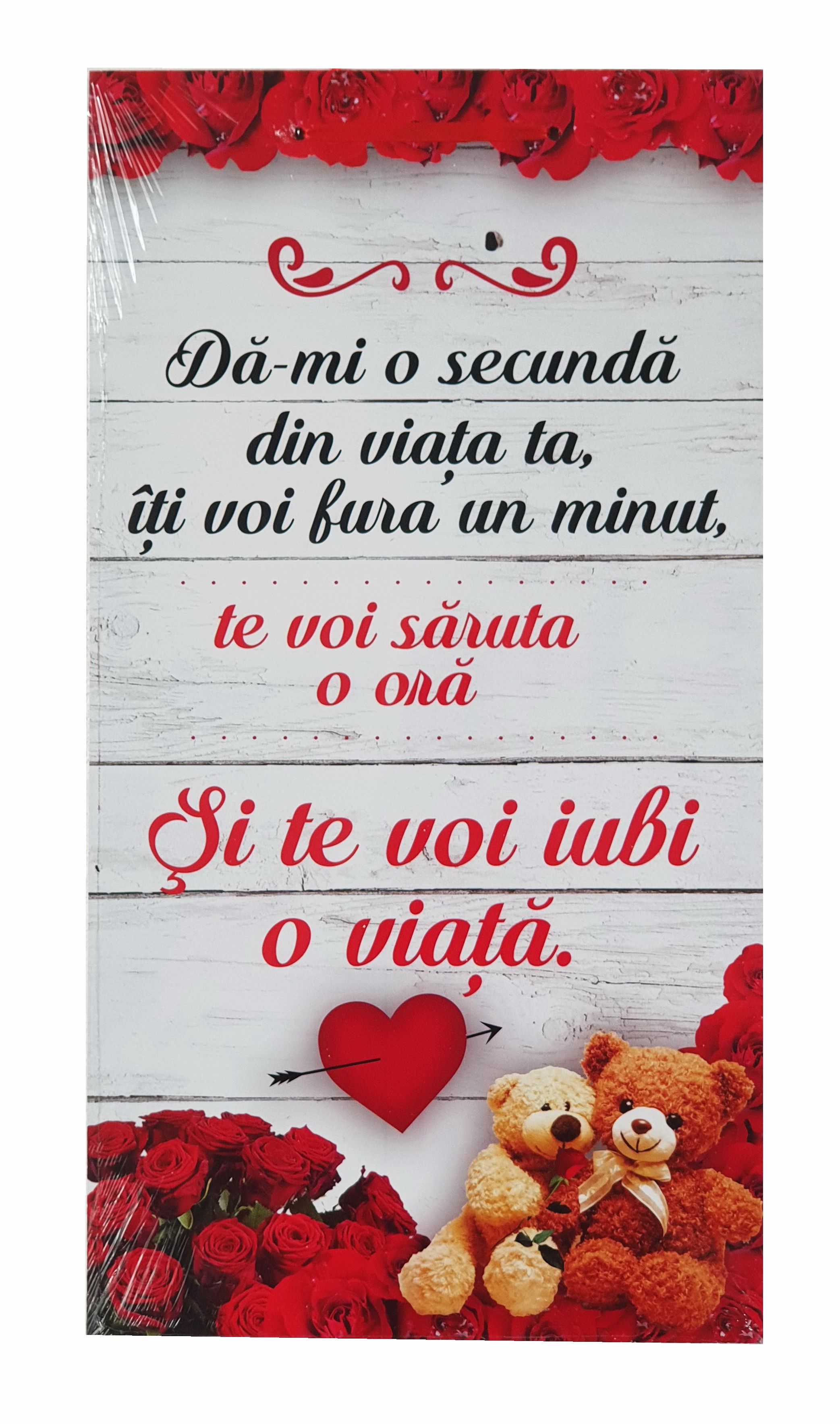 Tablou motivational ( 27x50 cm ) - Da-mi o secunda din viata ta Tablou motivational ( 27x50 cm ) - Da-mi o secunda din viata ta