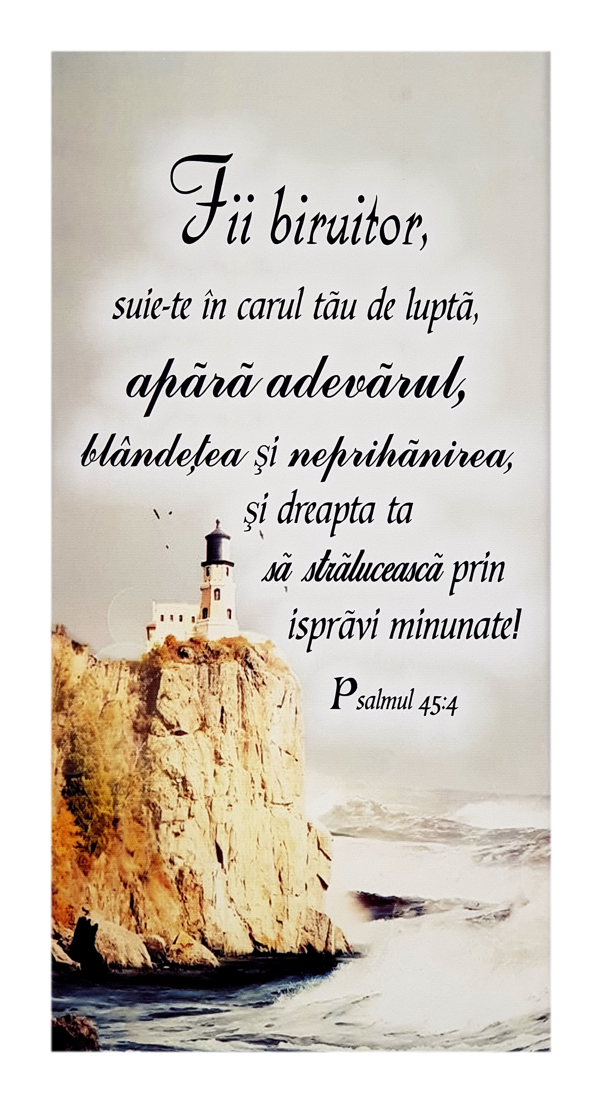 Tablou canvas - Fii biruitor (25x50 cm) Tablou canvas - Fii biruitor (25x50 cm)