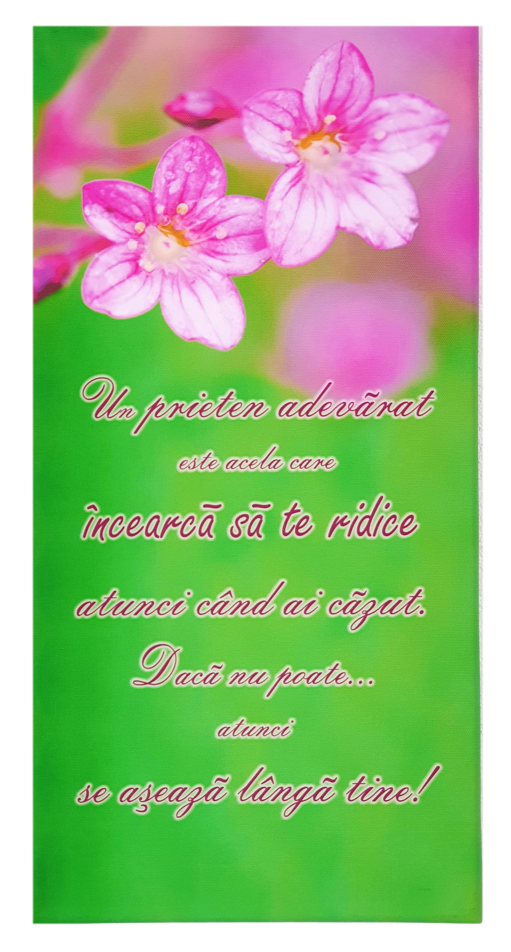 Tablou canvas -Un prieten adevarat (25x50 cm) Tablou canvas -Un prieten adevarat (25x50 cm)