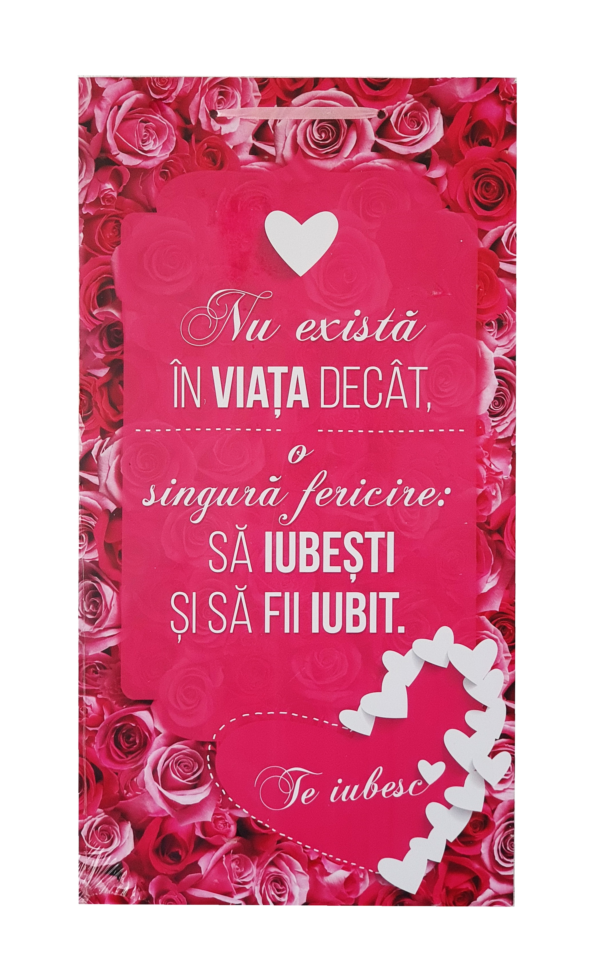Tablou motivational (27x48) - Nu exista in viata Tablou motivational (27x48) - Nu exista in viata