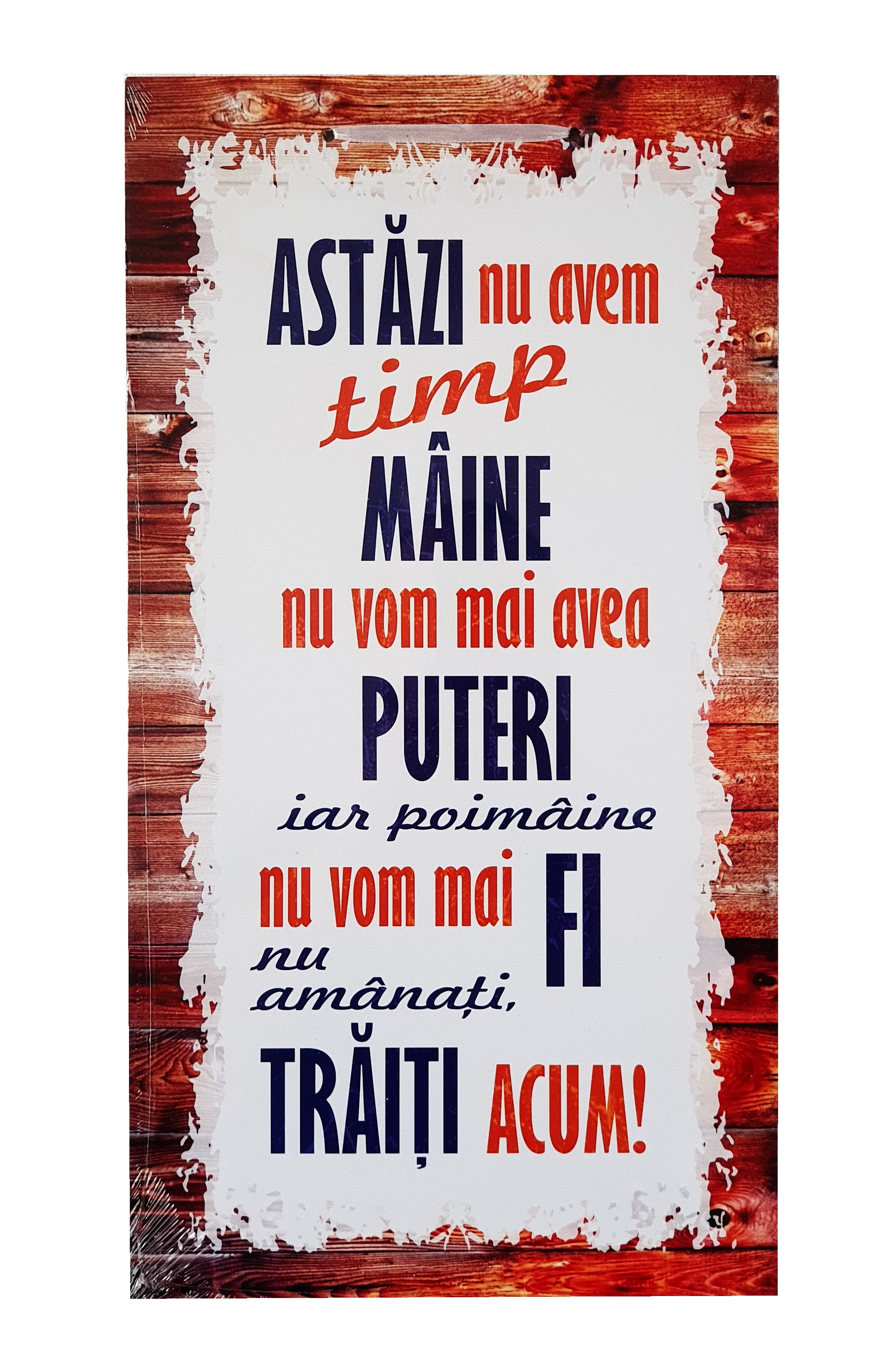 Tablou motivational ( 27x50 ) - Astazi nu avem timp Tablou motivational ( 27x50 ) - Astazi nu avem timp