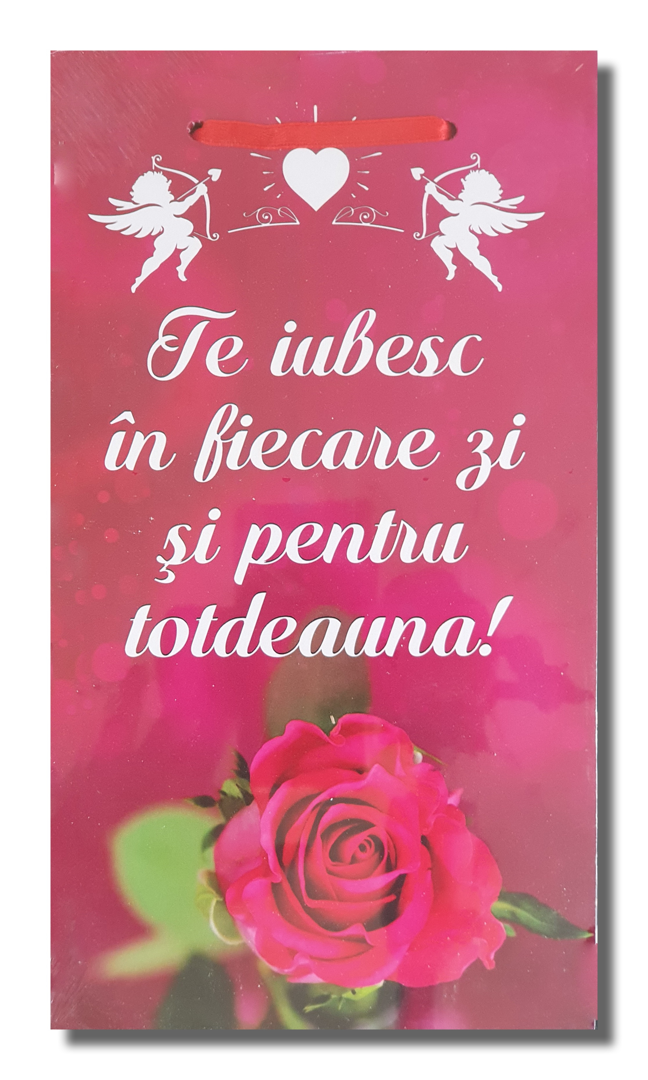 Tablou motivational - Te iubesc in fiecare zi (14.5x25.5cm) Tablou motivational - Te iubesc in fiecare zi (14.5x25.5cm)