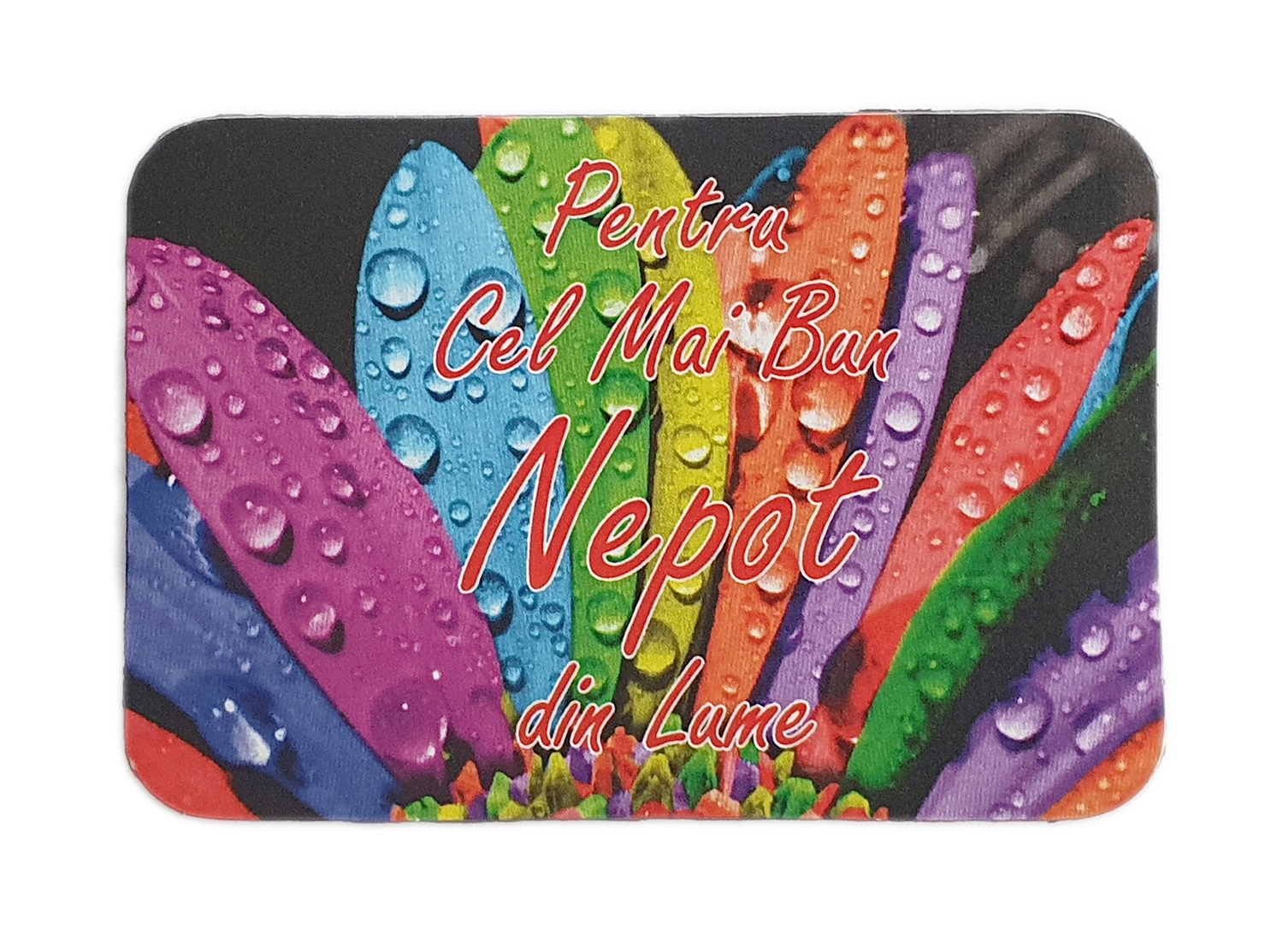 Magnet de frigider - Pentru cel mai bun nepot