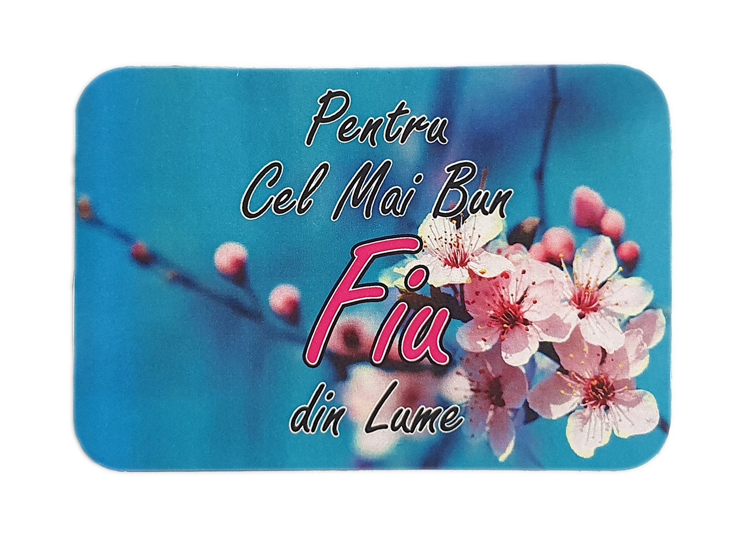 Magnet de frigider - Pentru cel mai bun fiu Magnet de frigider - Pentru cel mai bun fiu
