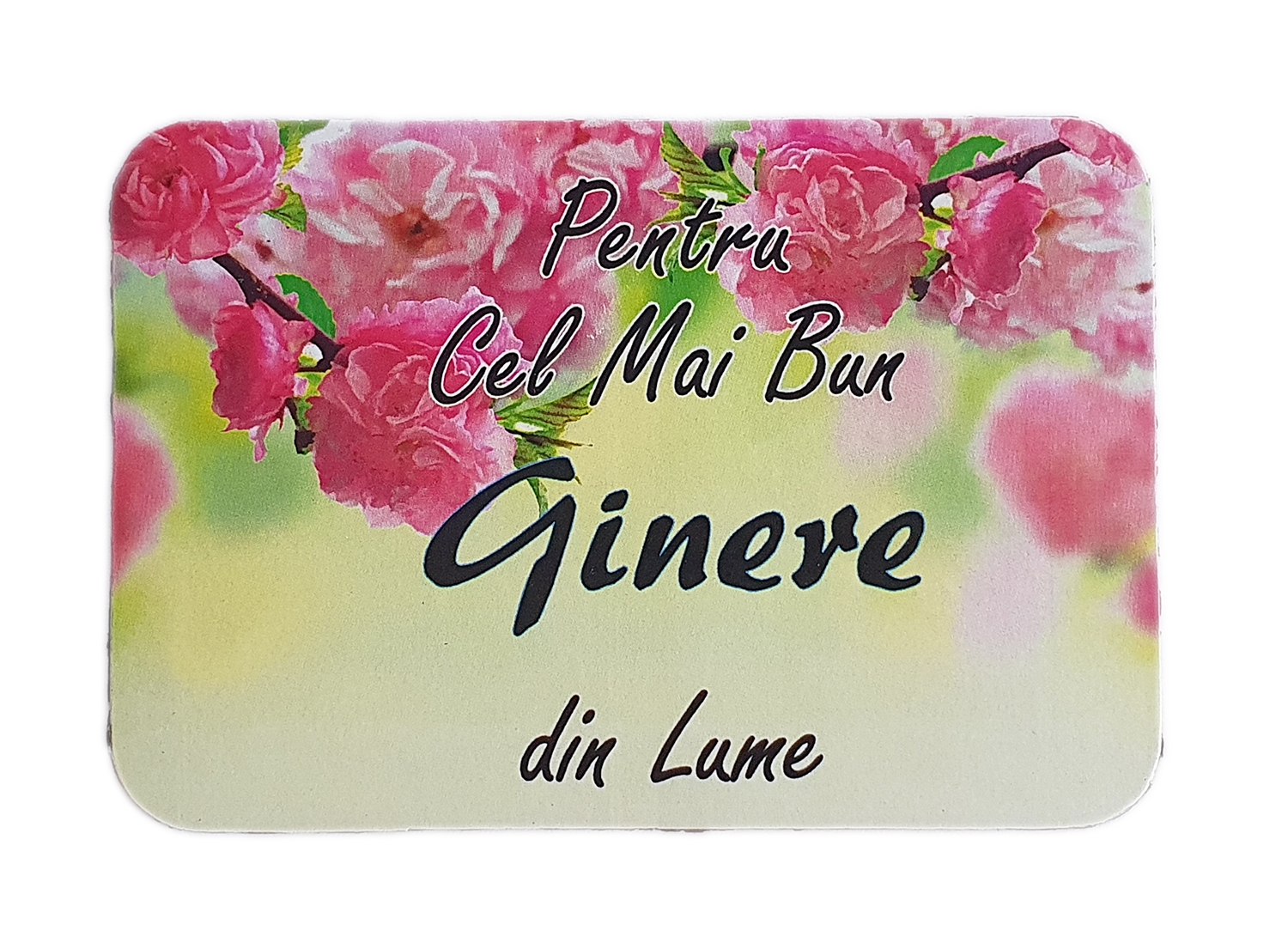 Magnet de frigider - Pentru cel mai bun ginere Magnet de frigider - Pentru cel mai bun ginere